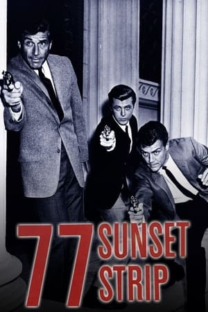 77 Sunset Strip 77 Sunset Strip-hd