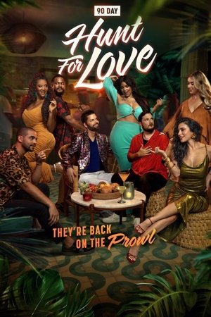 90 Day: Hunt For Love 90 Day: Hunt For Love-hd