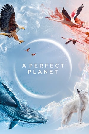 A Perfect Planet A Perfect Planet-hd