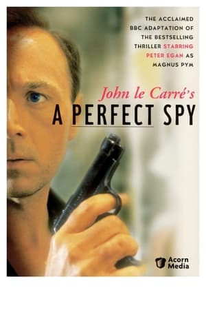 A Perfect Spy-hd