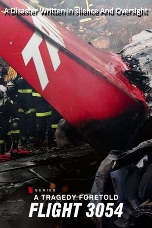 A Tragedy Foretold: Flight 3054-hd