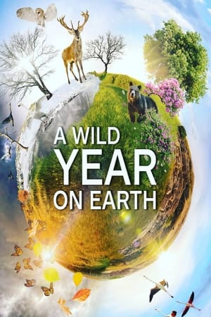 A Wild Year On Earth-hd
