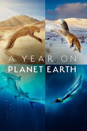 A Year on Planet Earth-hd