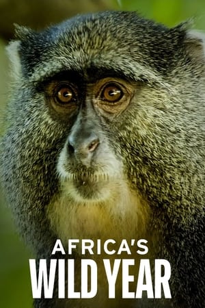 Africa's Wild Year Africa's Wild Year-hd