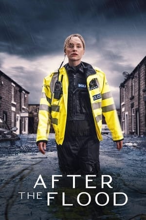 After the Flood After the Flood-hd