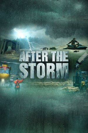After the Storm After the Storm-hd
