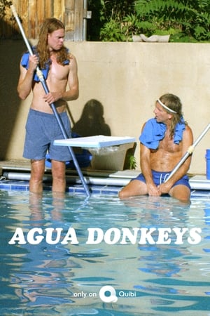 Agua Donkeys Agua Donkeys-hd