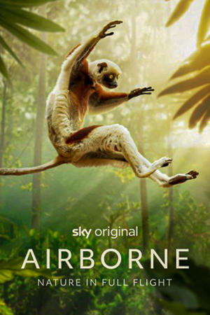 Airborne-hd