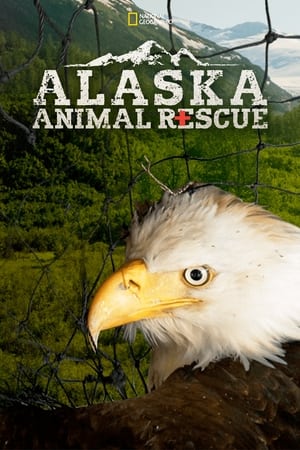 Alaska Animal Rescue Alaska Animal Rescue-hd