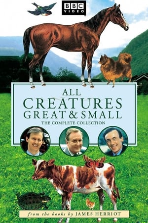 All Creatures Great and Small All Creatures Great and Small-hd