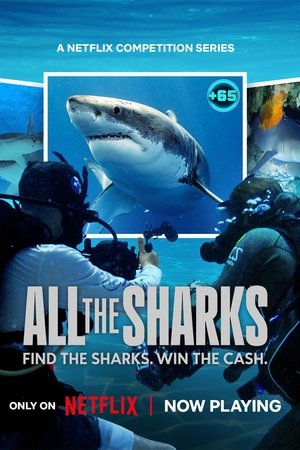 All the Sharks-hd