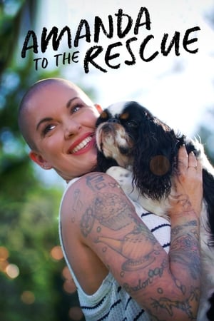 Amanda to the Rescue-hd