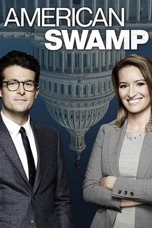 American Swamp-hd