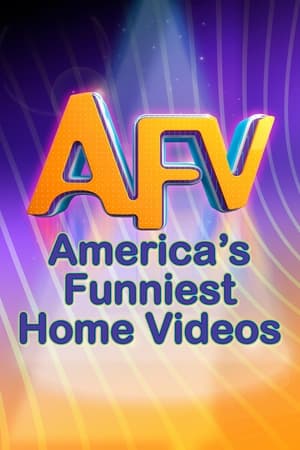 America's Funniest Home Videos-hd