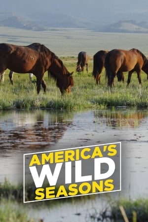 America's Wild Seasons America's Wild Seasons-hd