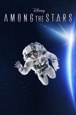 Among the Stars Among the Stars-hd