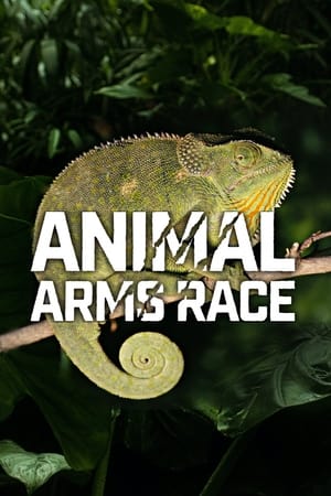 Animal Arms Race Animal Arms Race-hd