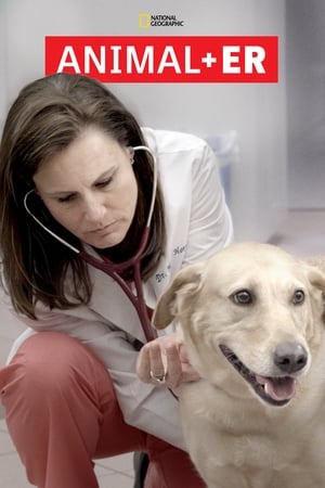Animal ER Animal ER-hd