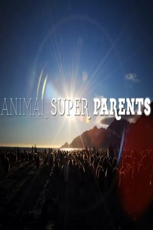 Animal Super Parents-hd