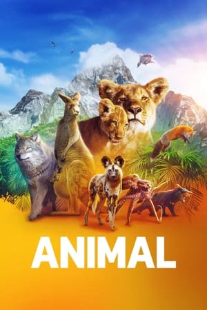Animal-hd