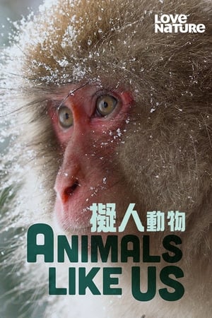 Animals Like Us Animals Like Us-hd