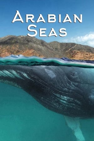Arabian Seas Arabian Seas-hd