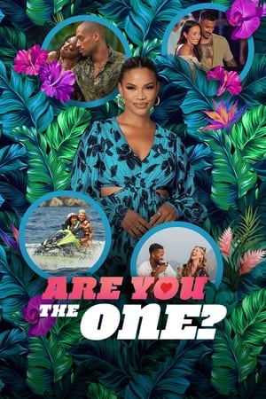 Are You The One? Are You The One?-hd