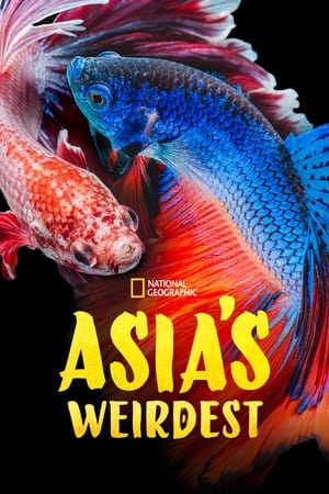 Asia's Weirdest-hd