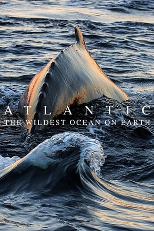 Atlantic: The Wildest Ocean on Earth-hd