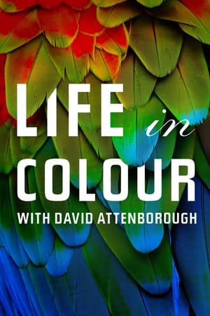 Attenborough's Life in Colour Attenborough's Life in Colour-hd