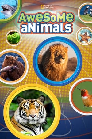 Awesome Animals Awesome Animals-hd