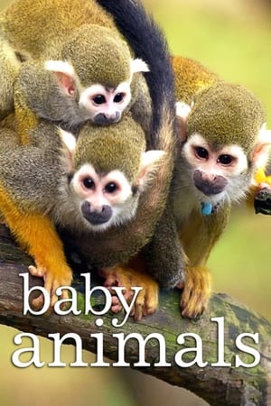 Baby Animals Baby Animals-hd