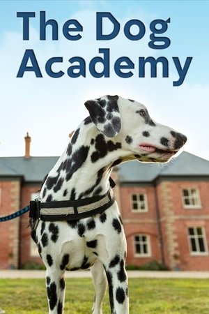 Bad Dog Academy-hd