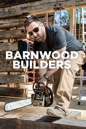 Barnwood Builders-hd