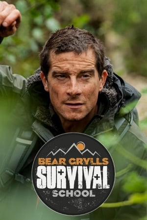 Bear Grylls: Survival School Bear Grylls: Survival School-hd