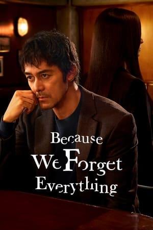 Because We Forget Everything Because We Forget Everything-hd