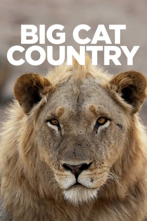 Big Cat Country Big Cat Country-hd