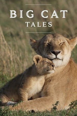 Big Cat Tales-hd