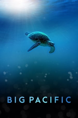 Big Pacific Big Pacific-hd