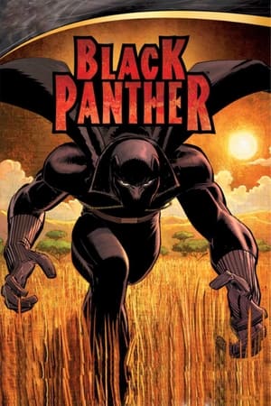Black Panther Black Panther-hd