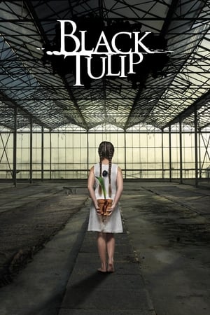 Black Tulip-hd