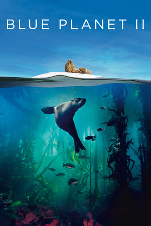 Blue Planet II Blue Planet II-hd