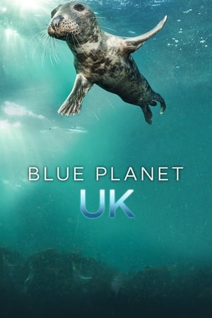 Blue Planet UK-hd