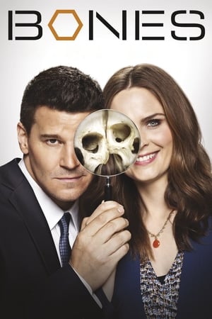 Bones Bones-hd