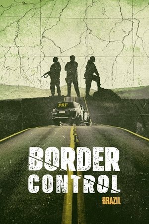 Border Control: Brazil-hd