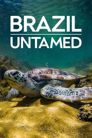 Brazil Untamed Brazil Untamed-hd