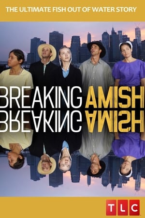 Breaking Amish-hd