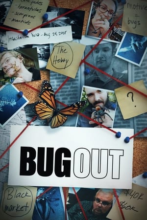Bug Out Bug Out-hd