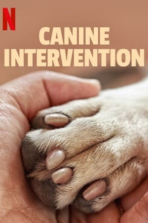 Canine Intervention Canine Intervention-hd