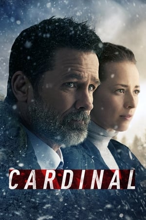 Cardinal Cardinal-hd